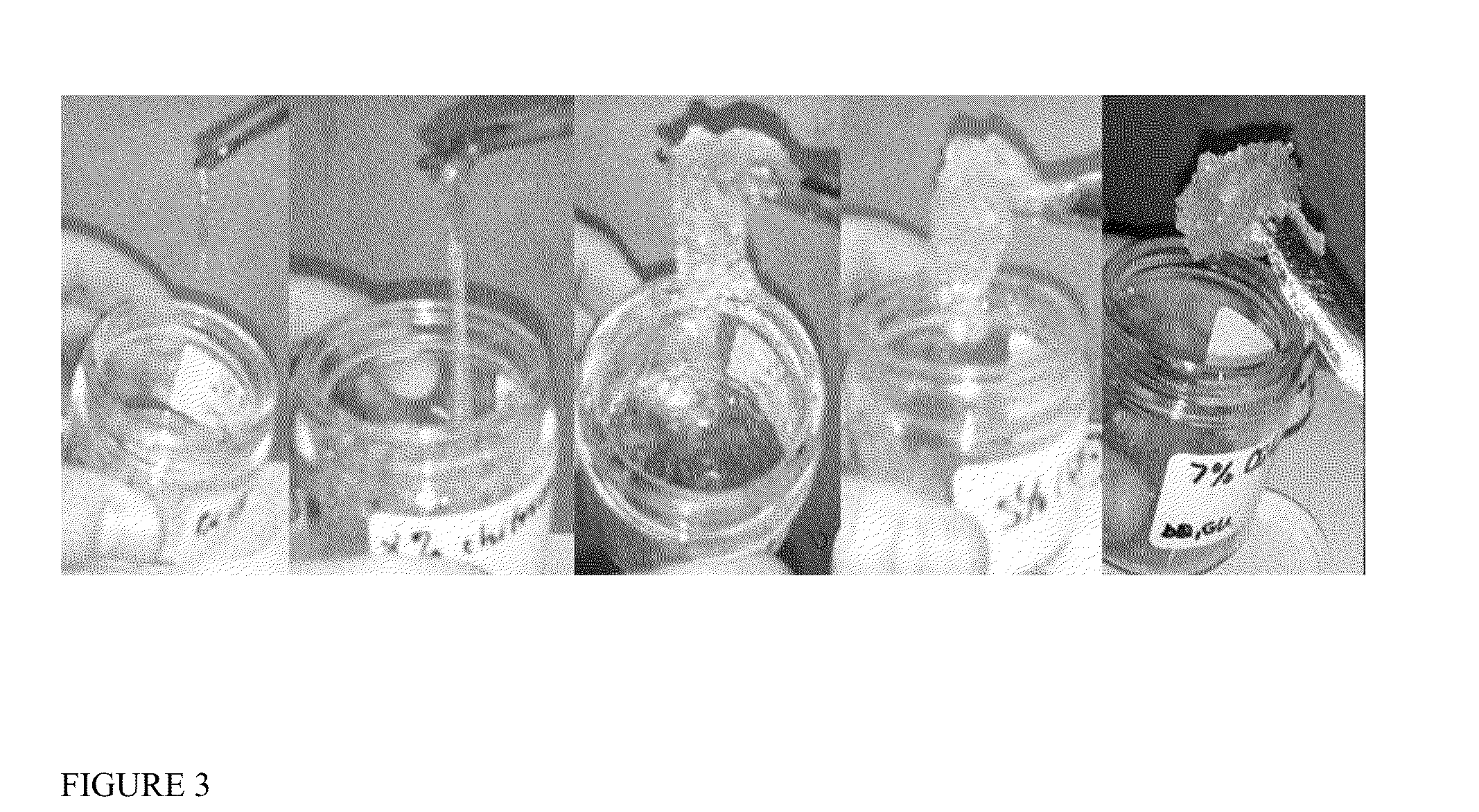 System and method for hemostatic wound dressing