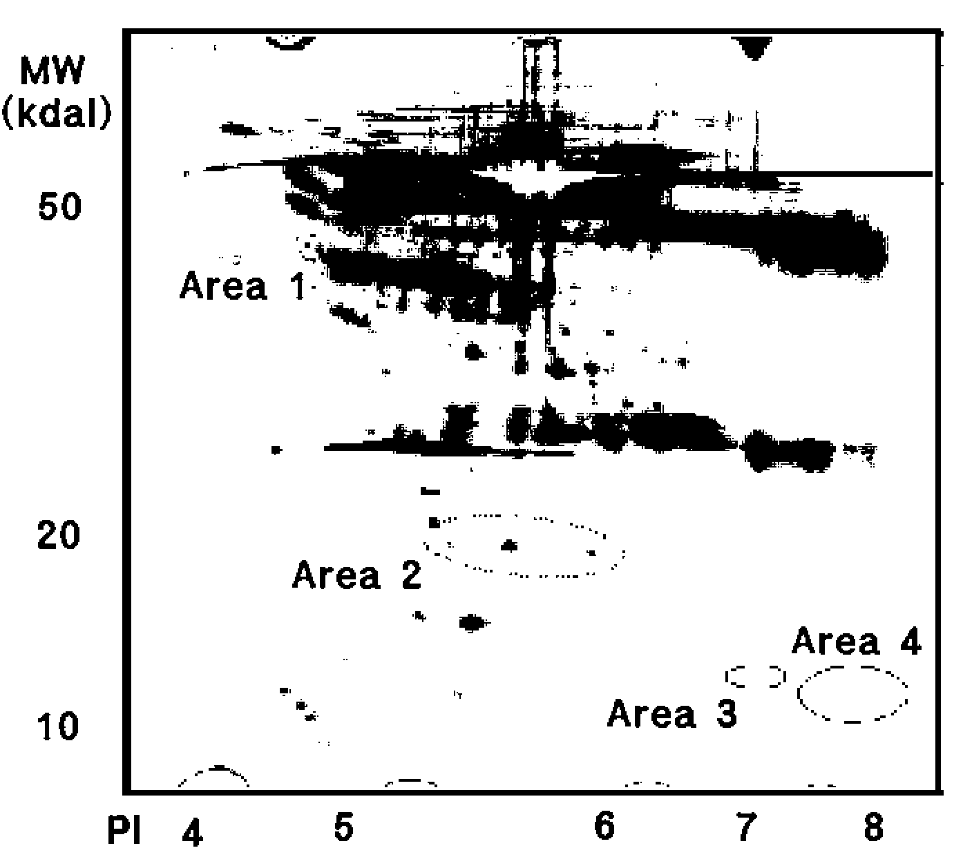 Method for Measuring Heptoglobin Level in Blood Serum and Kit Therefor