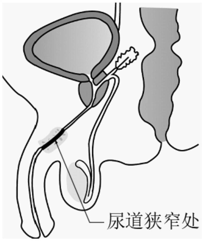 New application of dyclonine hydrochloride mucilage and use method of dyclonine hydrochloride mucilage