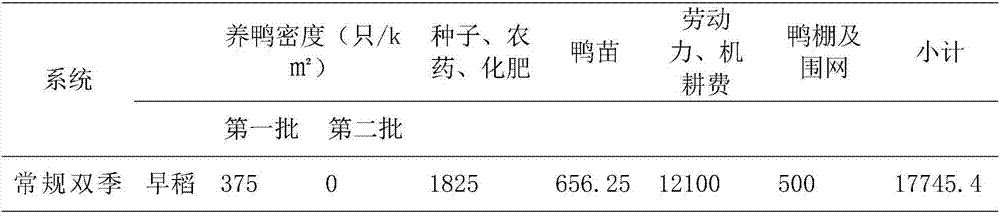 Multi-season rice and duck symbiosis breeding method