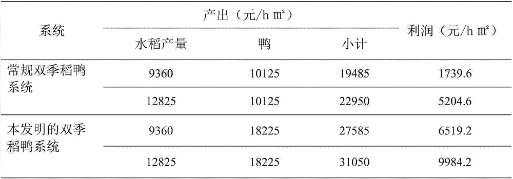 Multi-season rice and duck symbiosis breeding method