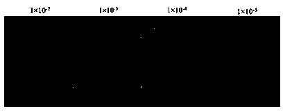 Single-domain antibody aiming at apolipoprotein A1 and application thereof