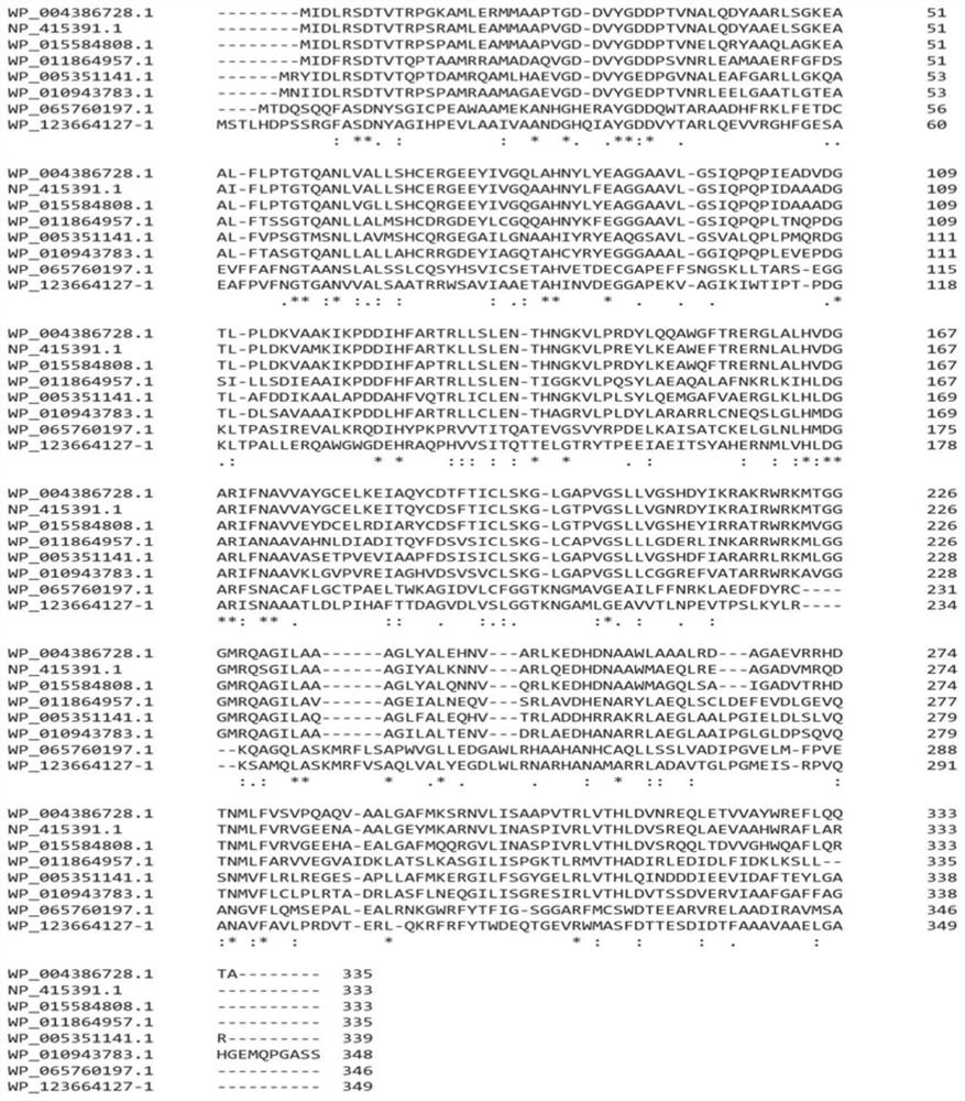 A kind of l-threonine aldolase and its application in the synthesis of p-thymphenylphenylserine