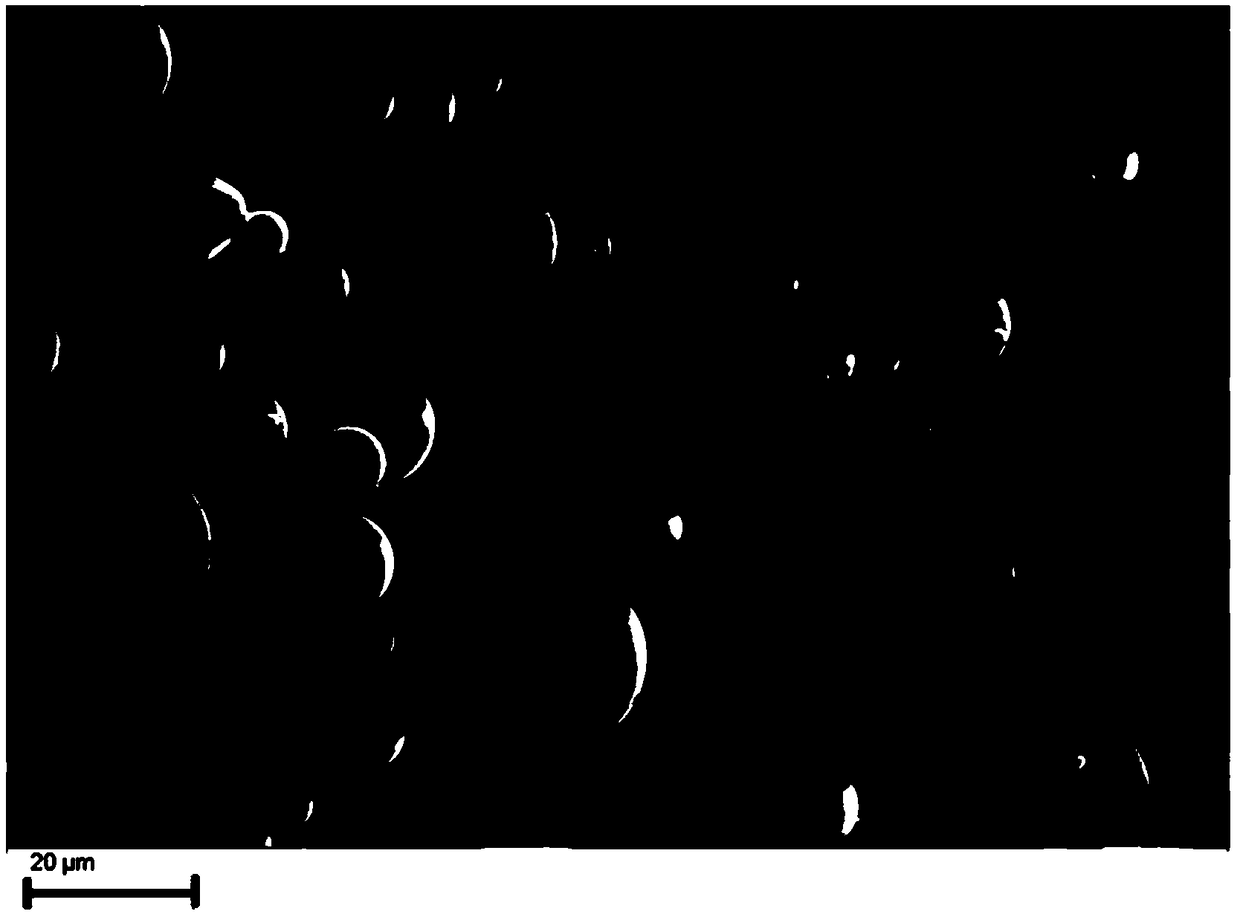 Method for preparing amorphous alloy bulk material