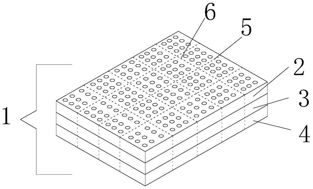 Rapid sowing and seedling raising seed film