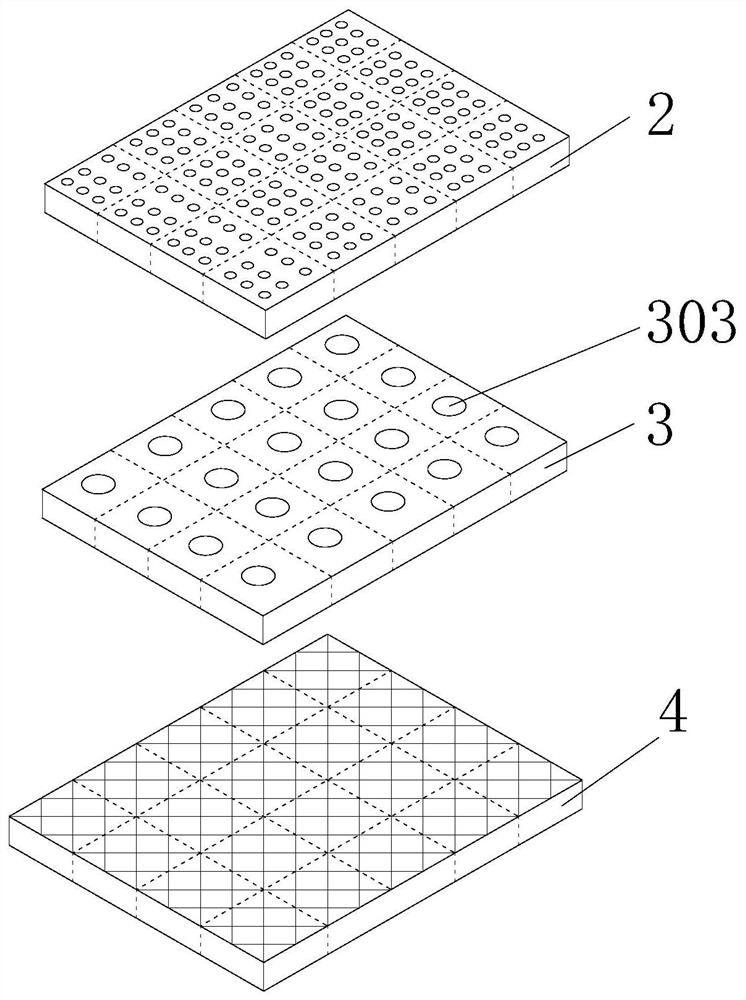 Rapid sowing and seedling raising seed film