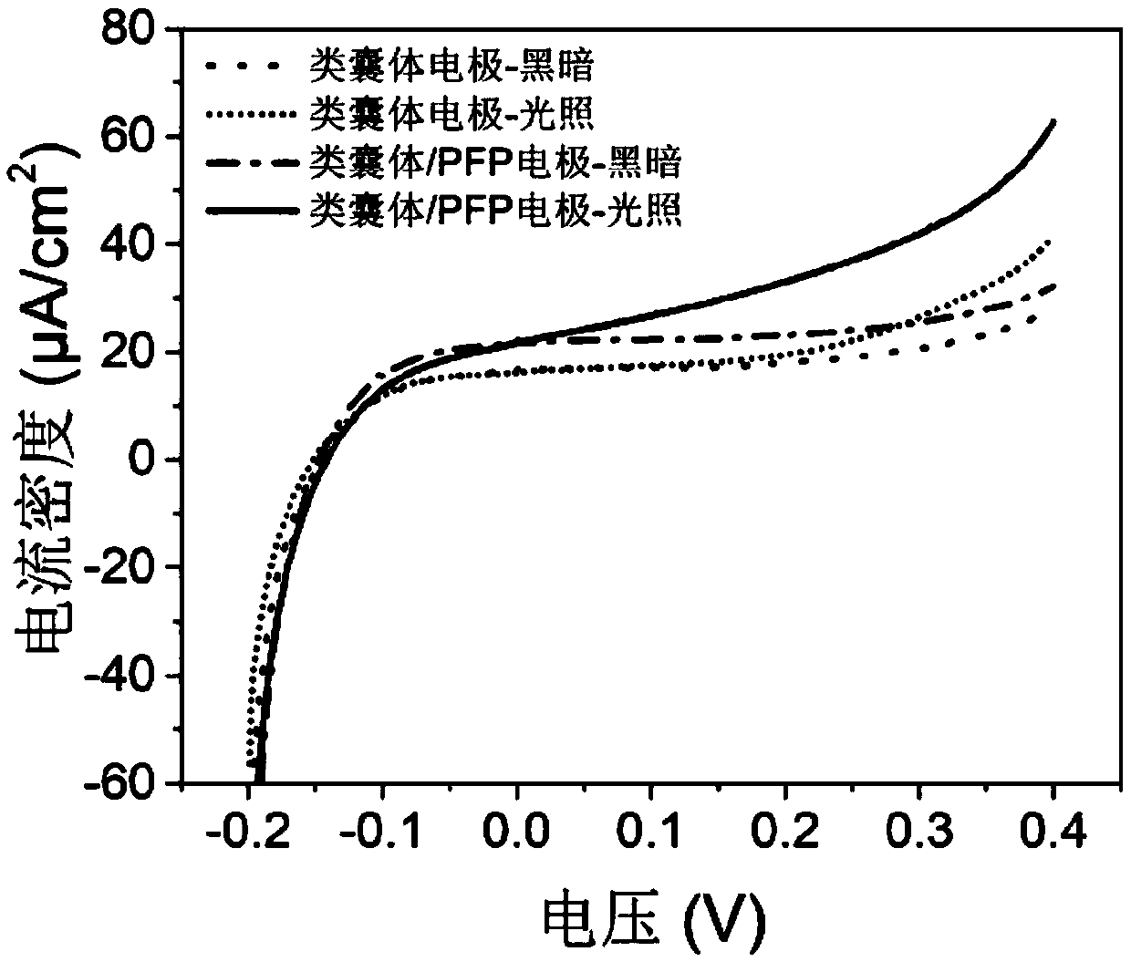 Biological photovoltaic cell and preparation method thereof