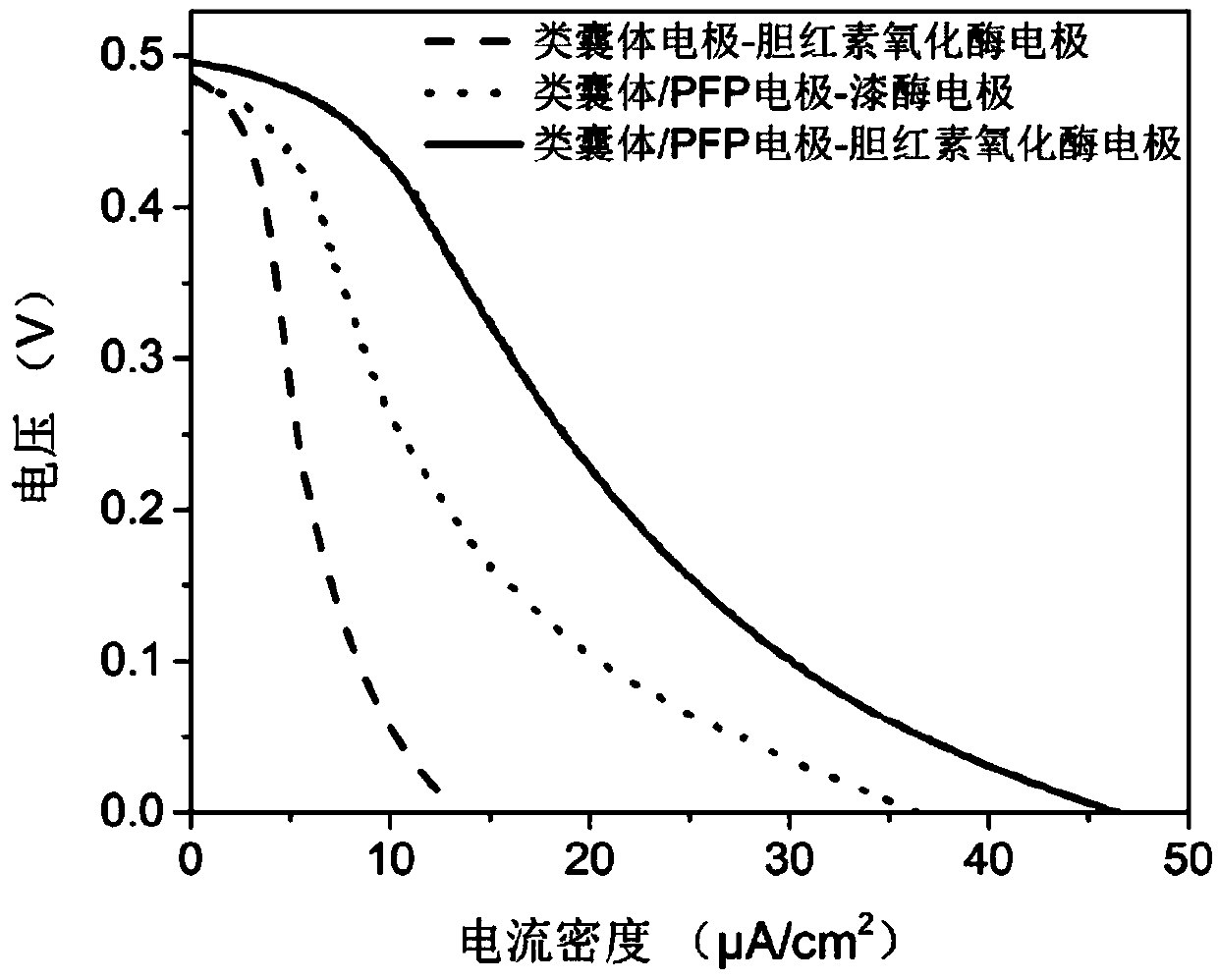 Biological photovoltaic cell and preparation method thereof