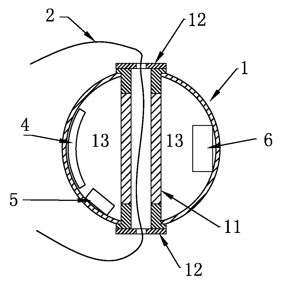 Carrier for bearing sensor of wearable electronic equipment