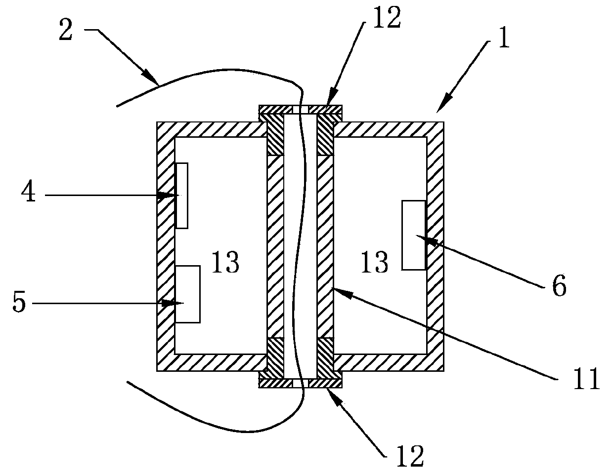 Carrier for bearing sensor of wearable electronic equipment