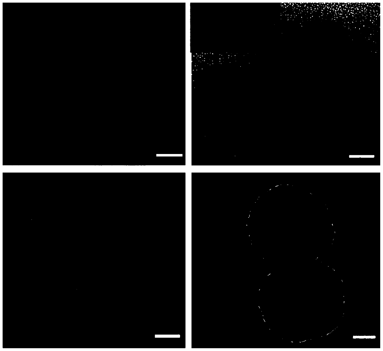 An aptamer-based method for the detection of mycotoxins in gold@dtnb@silver nanotriangles