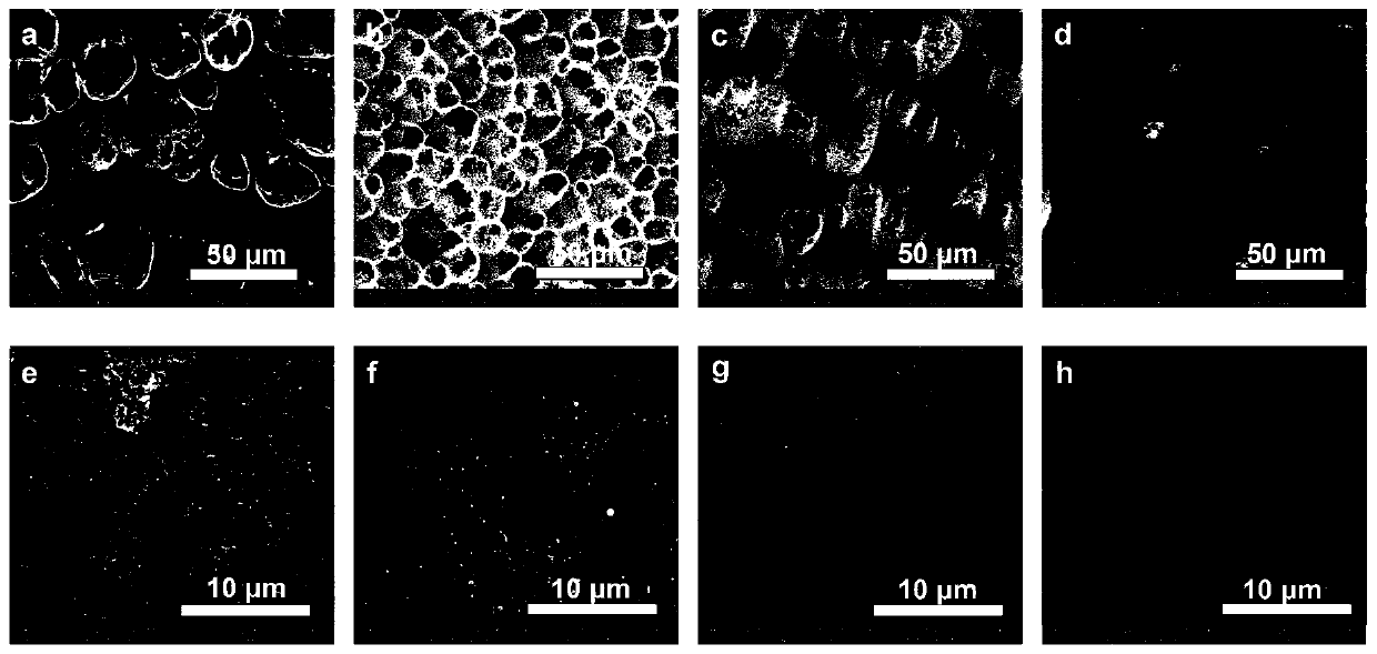 Hydrophilic single-layer porous membrane as well as preparation method and application thereof