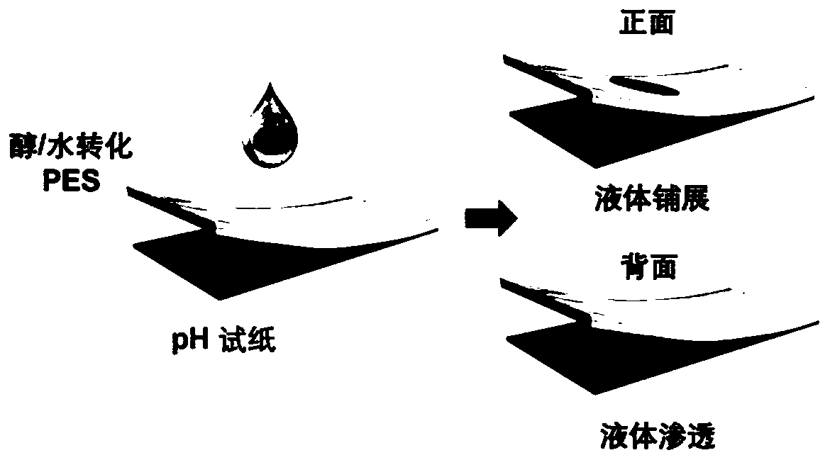 Hydrophilic single-layer porous membrane as well as preparation method and application thereof