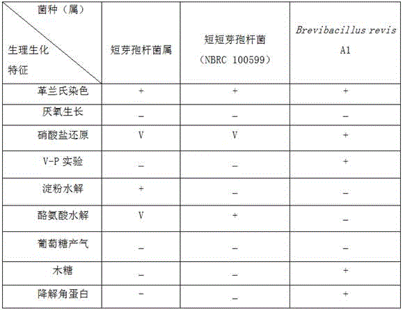 Brevibacillus brevis strain and application thereof