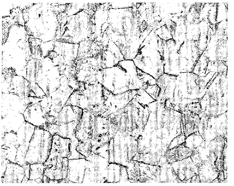 Process for producing twin crystal inducement plastic steel material with high carbon content