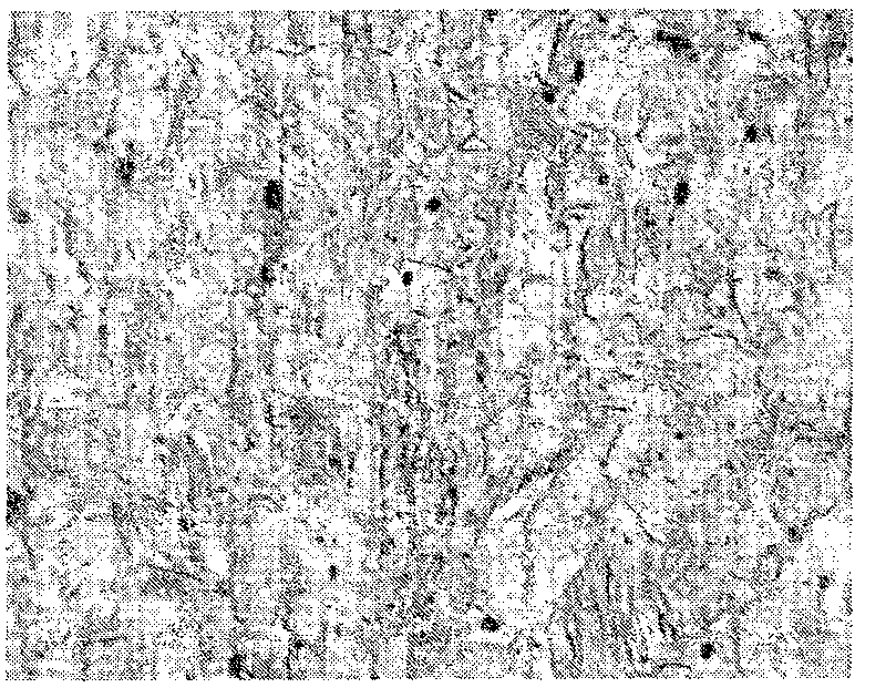 Process for producing twin crystal inducement plastic steel material with high carbon content