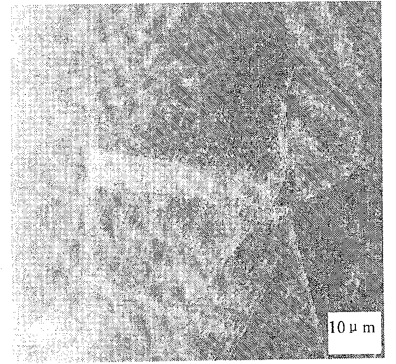 Process for producing twin crystal inducement plastic steel material with high carbon content