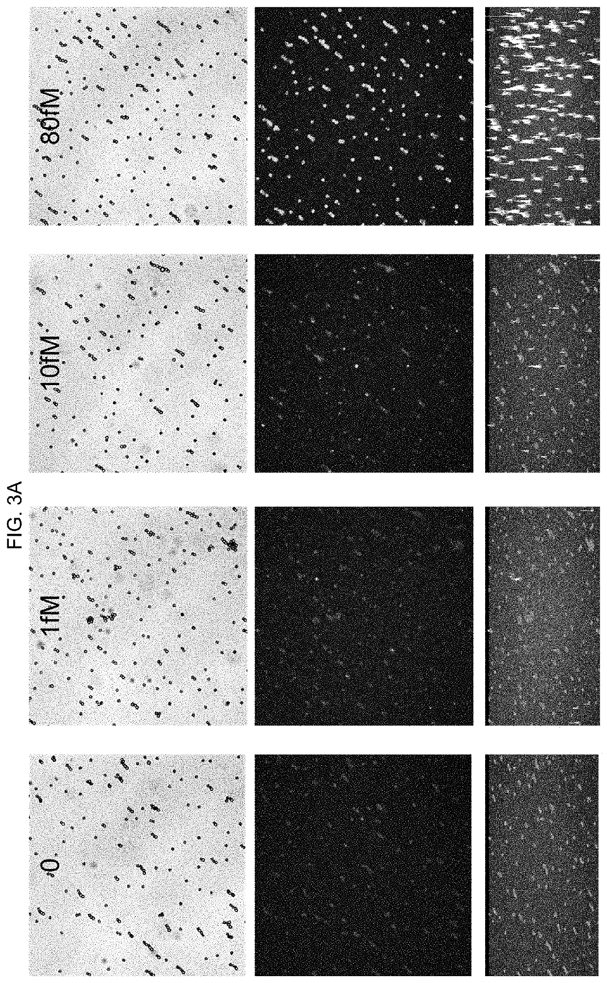 Direct detection of single molecules on microparticles