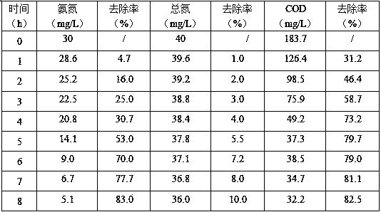 Rhodotorula mucilaginosa for removing total nitrogen in sewage and application of rhodotorula mucilaginosa