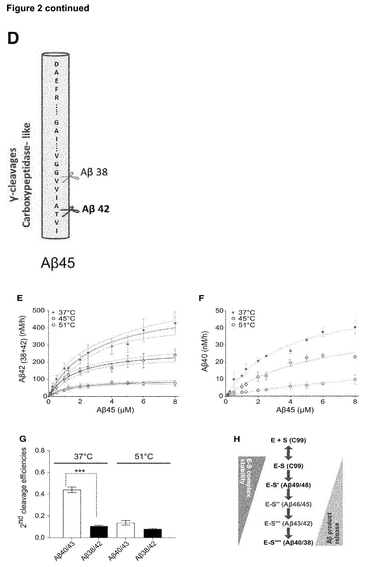 Gamma-secretase stabilizing compound screening assay