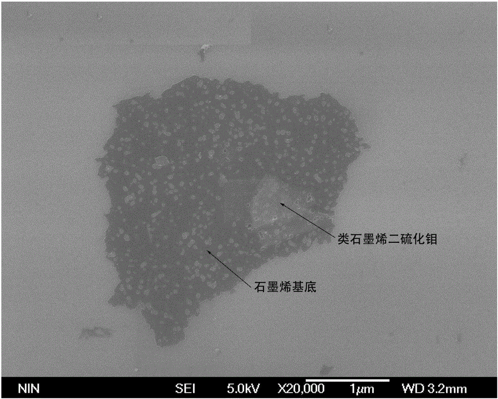 Method for preparing graphene-like molybdenum disulfide-graphene composite material by reducing carbohydrate organic carbon