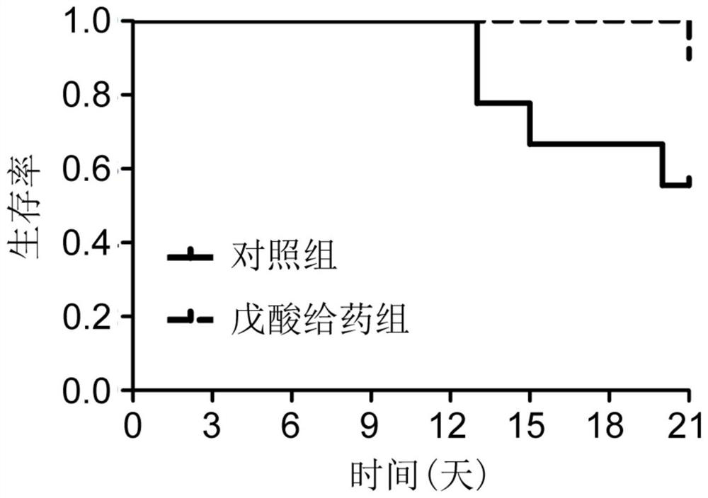 Use of valeric acid in the preparation of a medicament for preventing and/or treating side effects of tumor radiotherapy