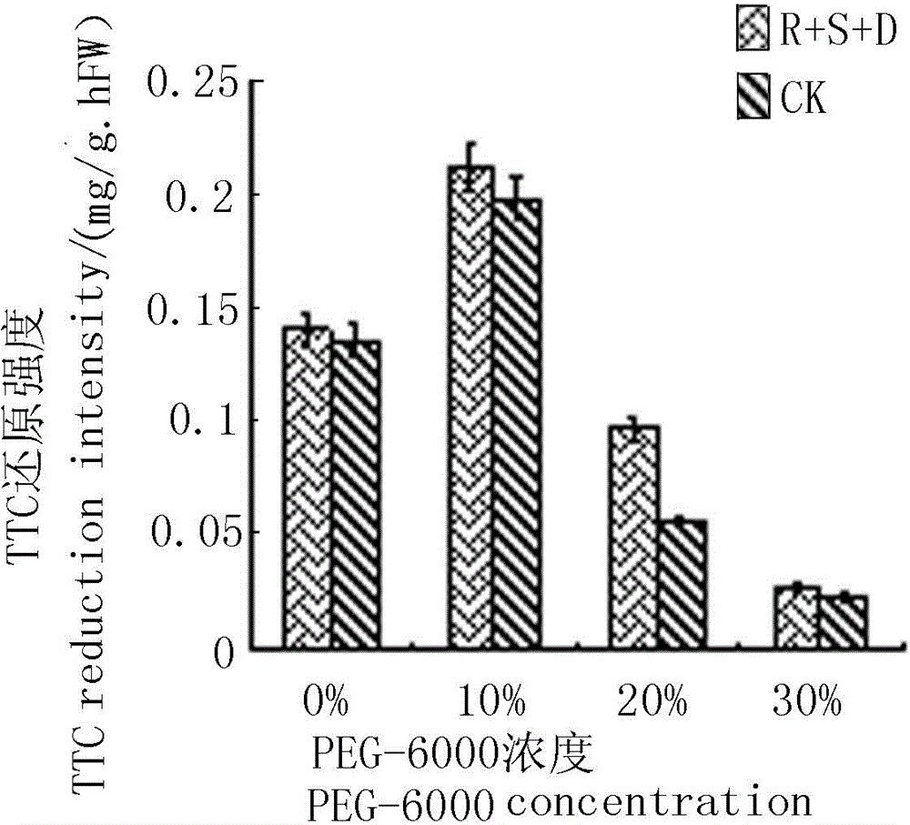 Sea-buckthorn endophytic fungi, preparation method of its extract product and application thereof