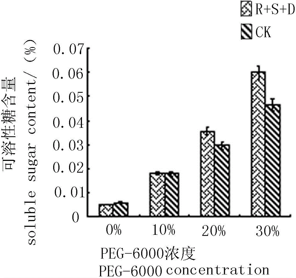 Sea-buckthorn endophytic fungi, preparation method of its extract product and application thereof