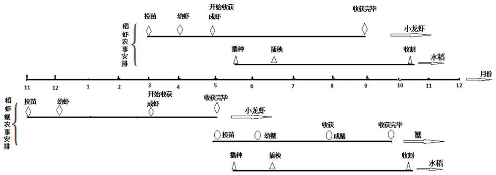 A kind of three-dimensional comprehensive planting method