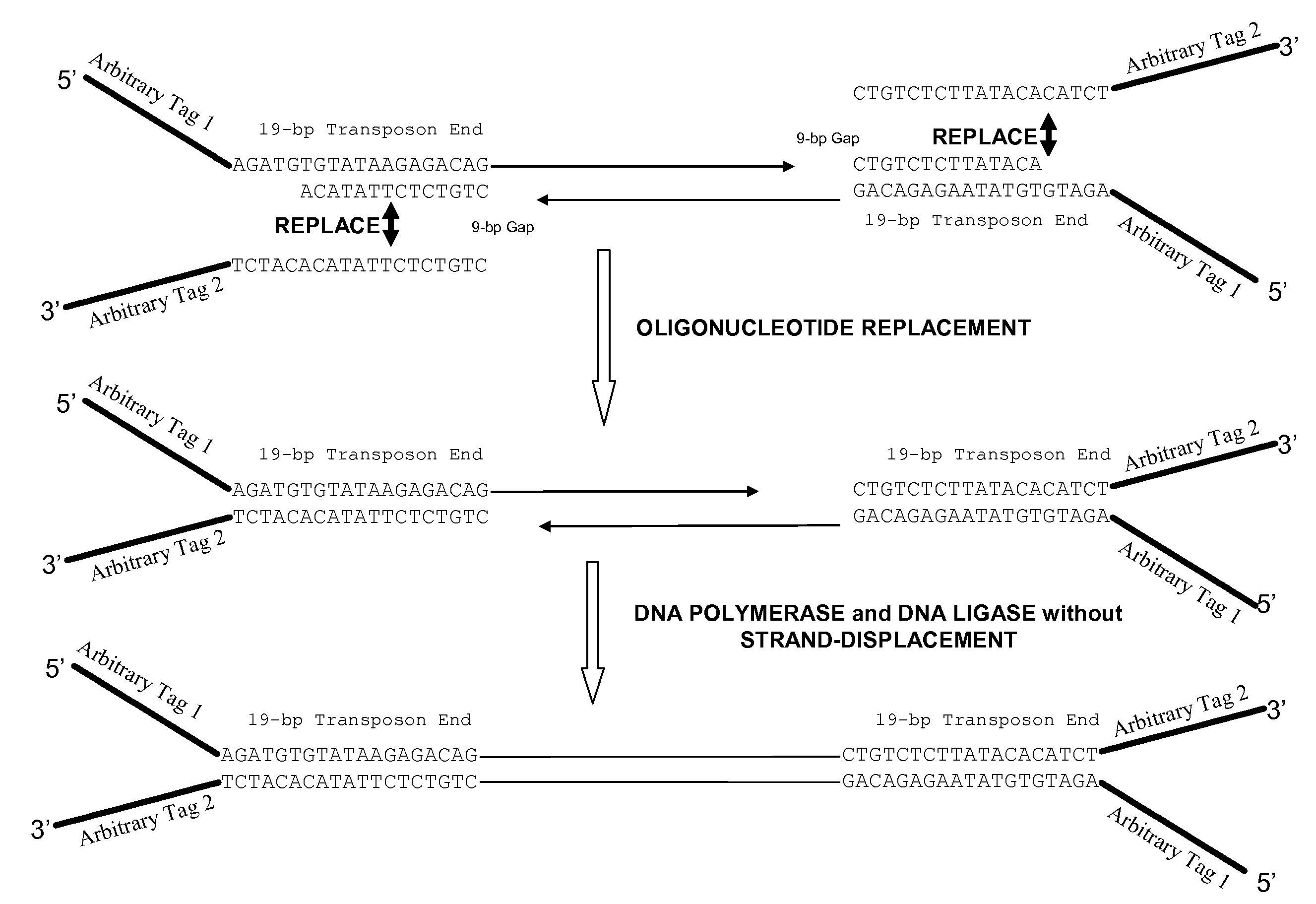 Oligonucleotide replacement for di-tagged and directional libraries