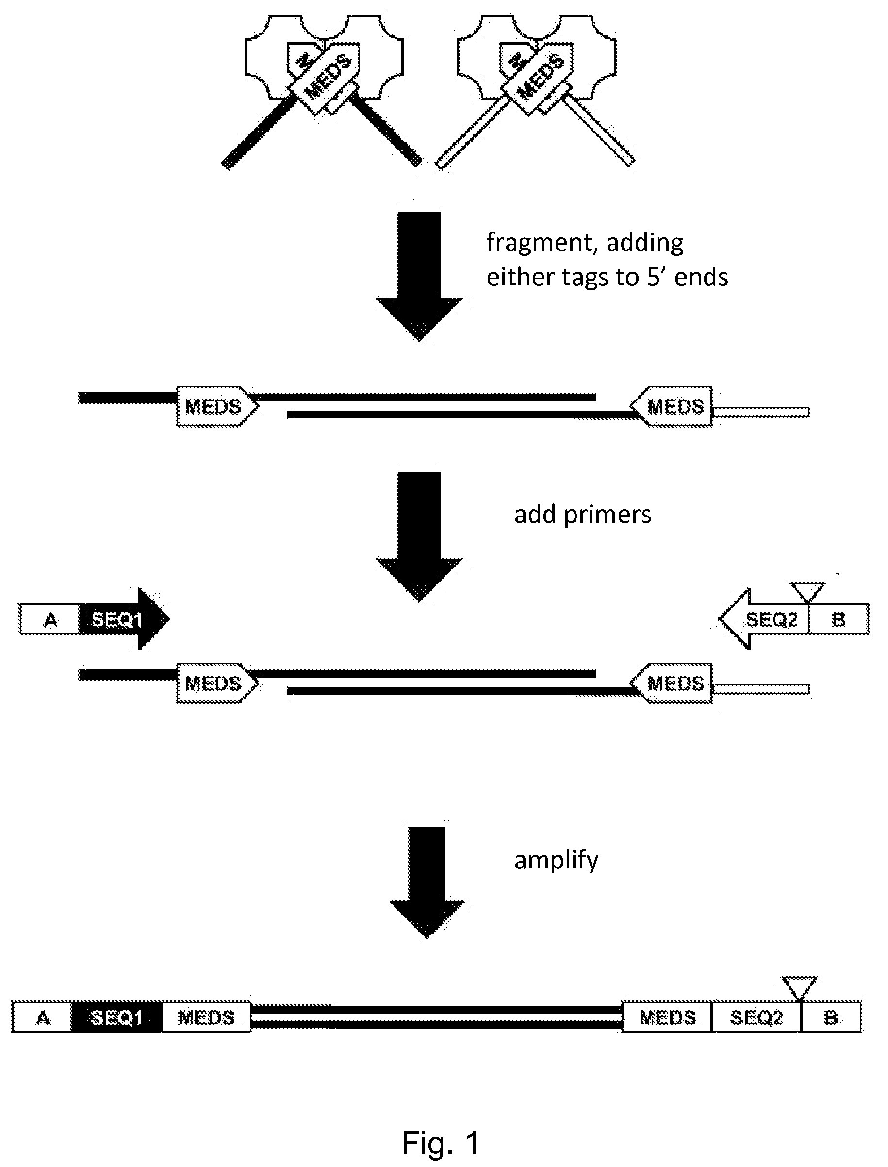 Oligonucleotide replacement for di-tagged and directional libraries