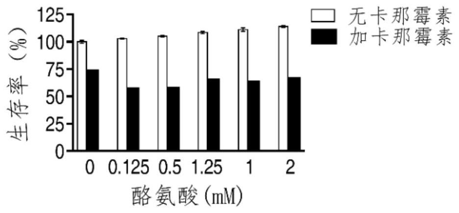 Application of l-Arginine in Improving Bacteria's Sensitivity to Antibiotics