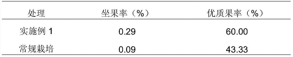 Flower-forcing and fruit-protecting fertilizer for mango and application method of flower-forcing and fruit-protecting fertilizer