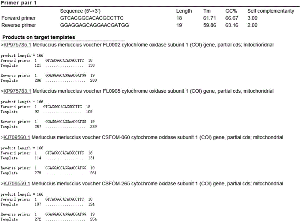 Real-time fluorescence PCR specific detection system and applications of Merluccius Merluccius