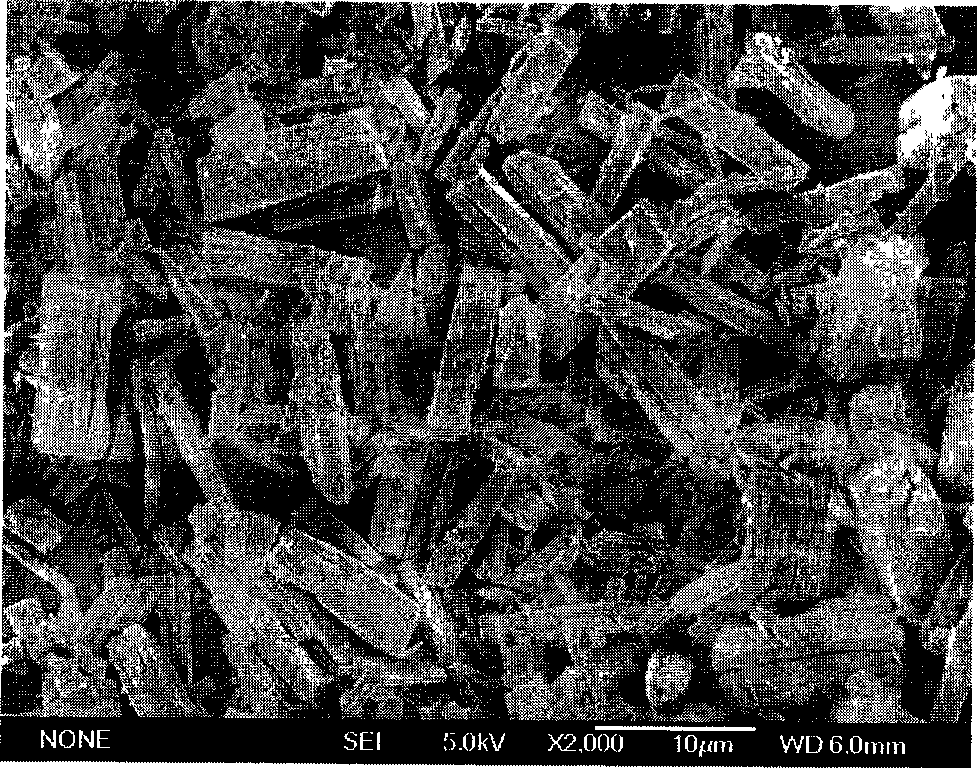 Nano-superstructure polyporous material of ferrite and method of preparing the same