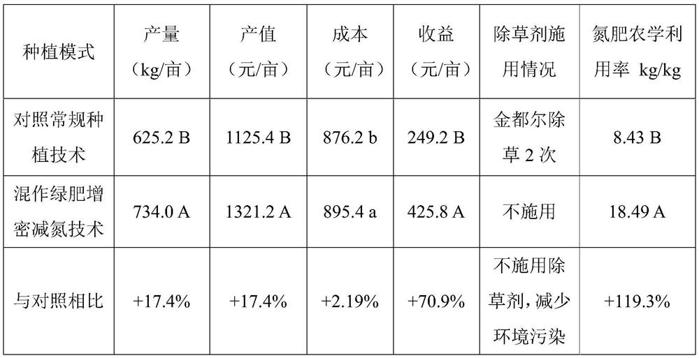 Density-increasing nitrogen-reducing efficient planting method for spring corn mixed cropping leguminous green manure