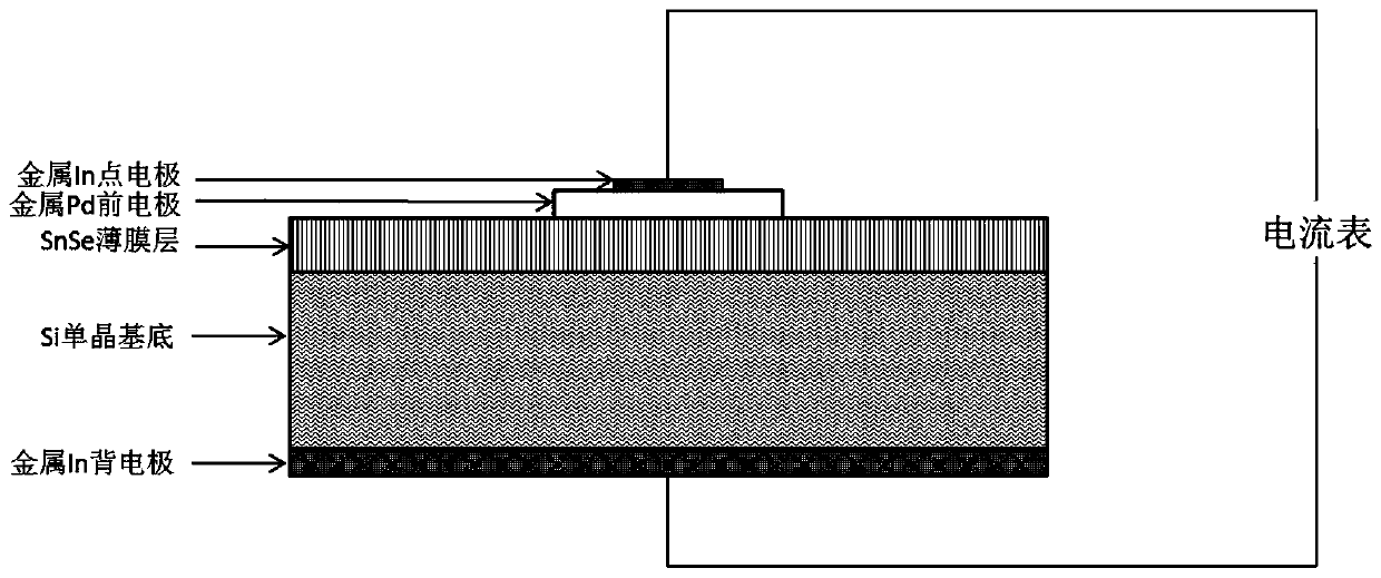 Photodetector based on tin selenide/silicon heterojunction, and preparation method thereof