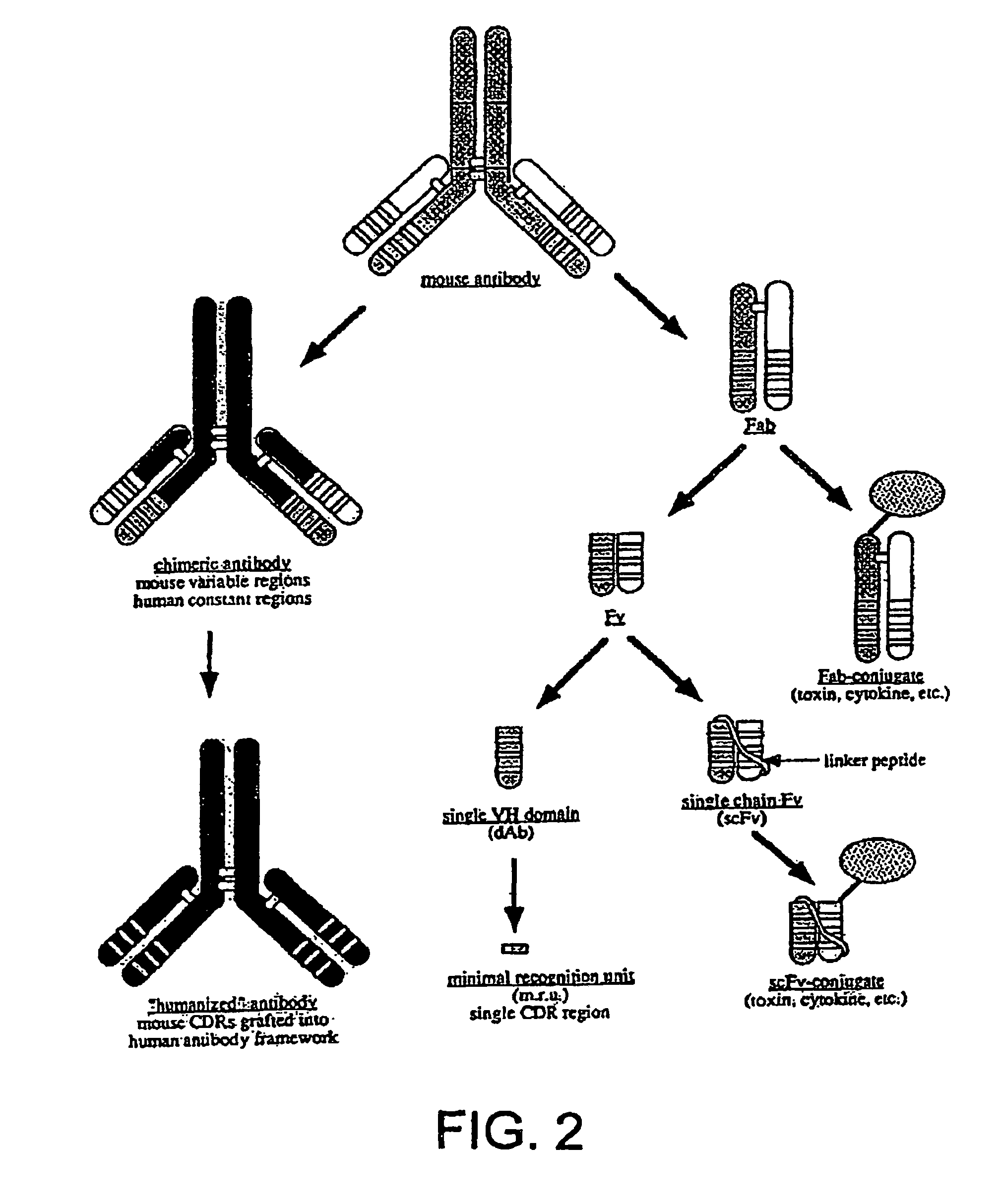 Single-domain antigen-binding antibody fragments derived from llama antibodies