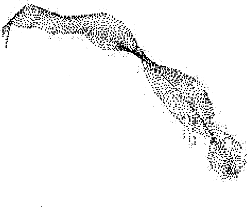 Parameter template-based corn leaf virtual simulation modeling method