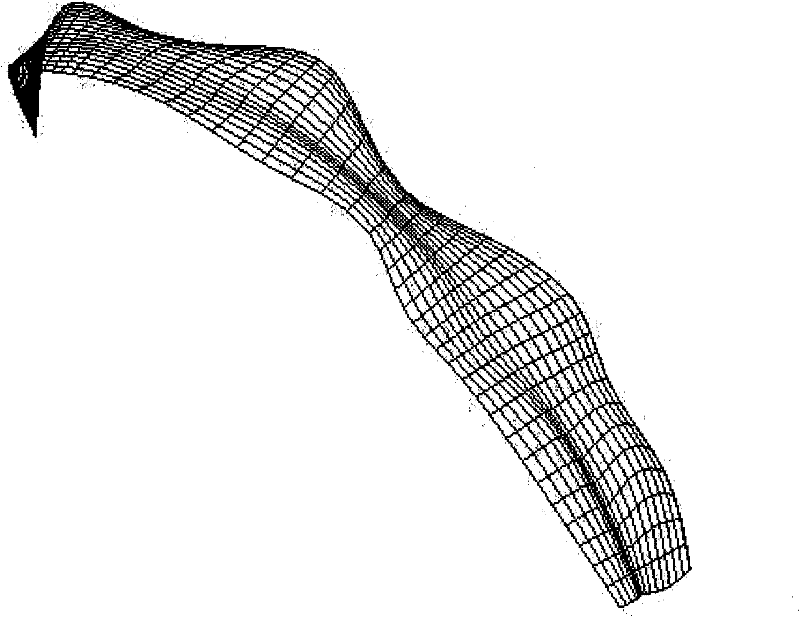 Parameter template-based corn leaf virtual simulation modeling method