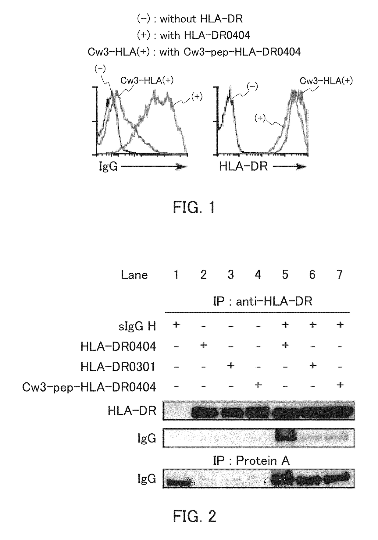 Autoantibody detection method, method for testing possibility of autoimmune disease contraction, autoantibody detection reagent, and autoimmune disease test reagent