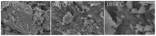 Bone black capable of efficiently oxidizing trivalent arsenic in water and application of bone black