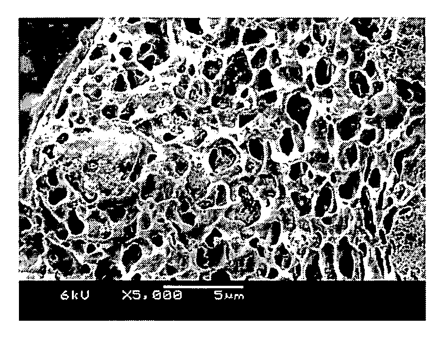 Method of producing nanoparticle-filled phase inversion polymer electrolyte