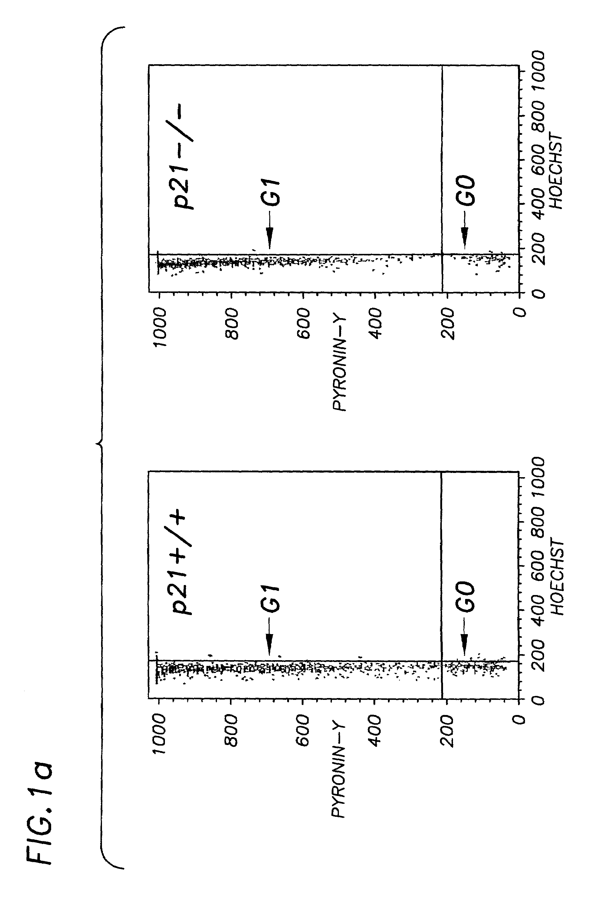 P27 and p21 in gene therapies