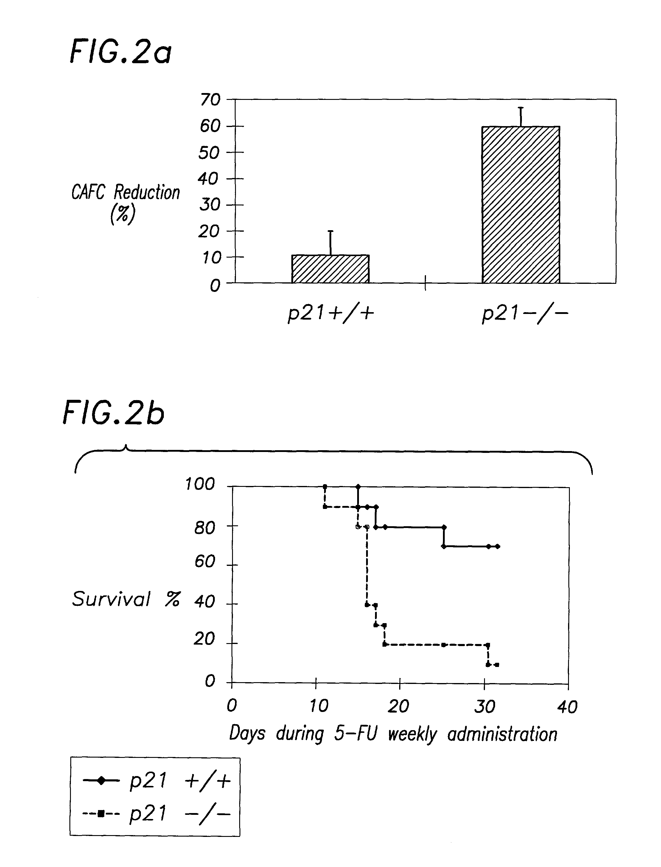 P27 and p21 in gene therapies