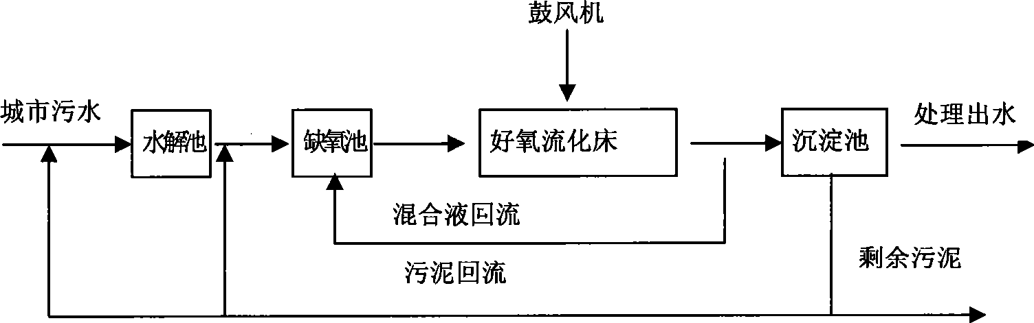 EH-BFB biochemical denitrification dephosphorization technique