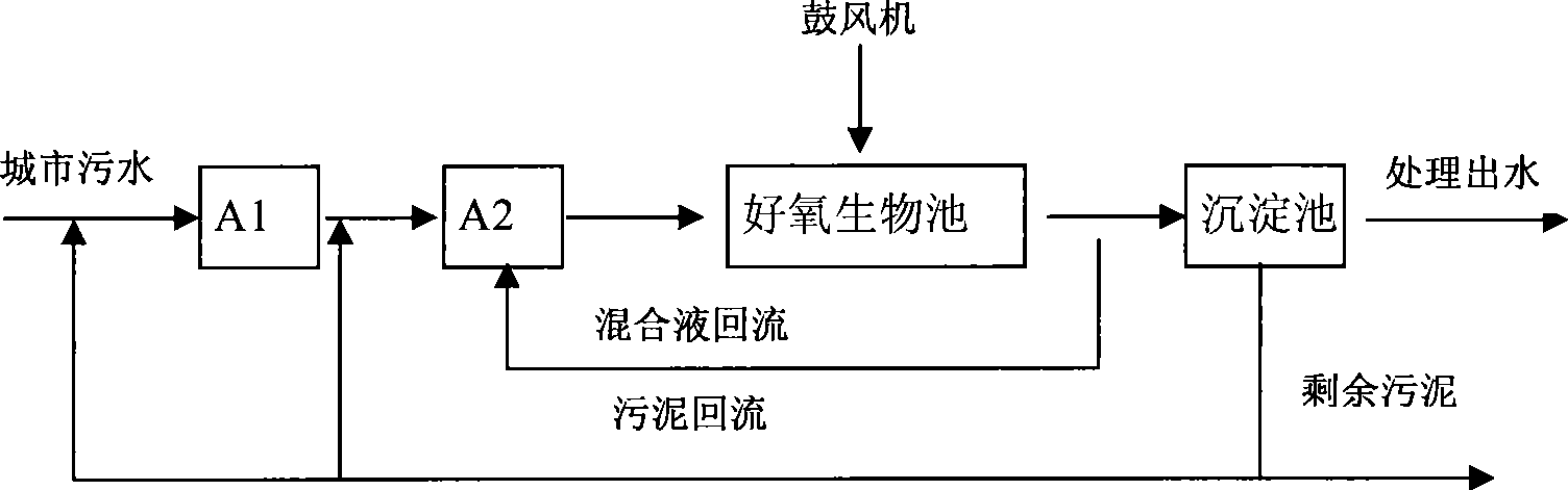 EH-BFB biochemical denitrification dephosphorization technique