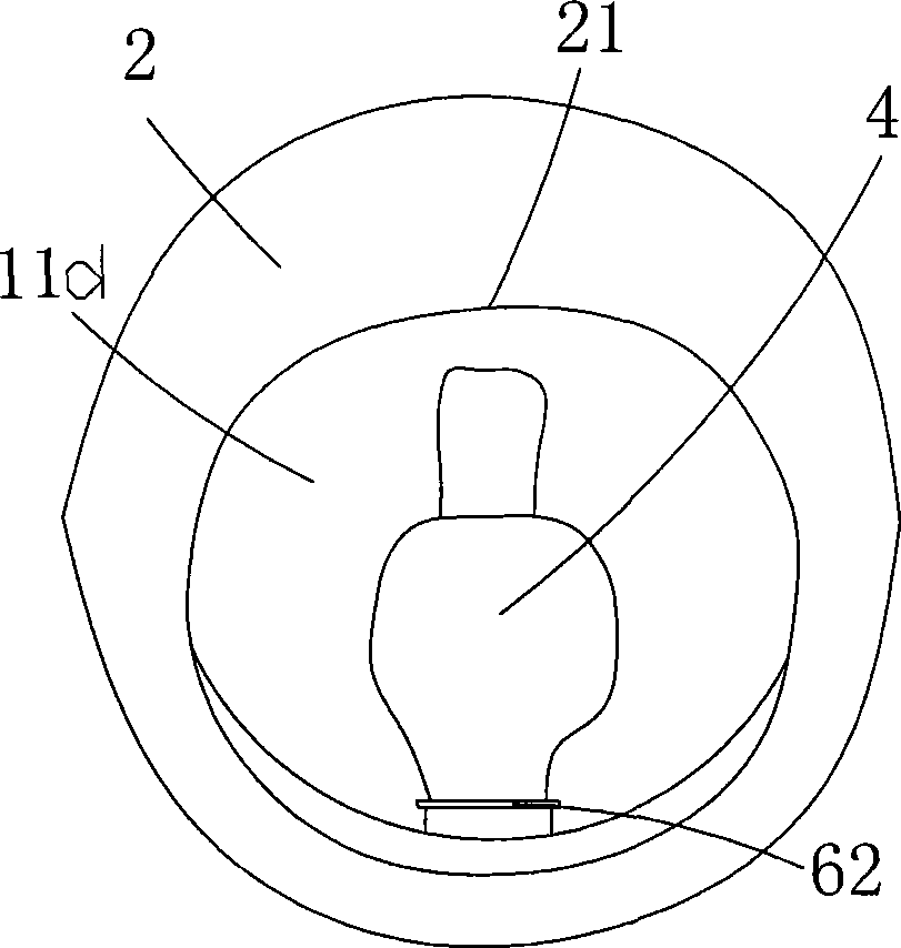 Artificial teaching model for anus and cunt examination during production process