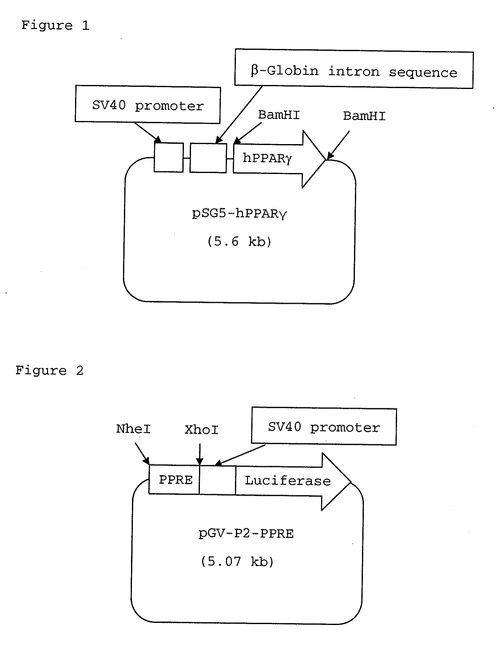 Fused bicyclic heteroaryl derivative