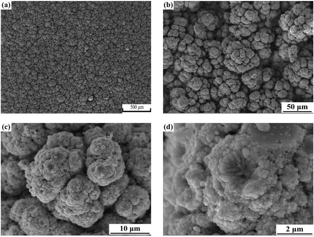 Preparation method for thermal barrier coating of high strain tolerance columnar structure